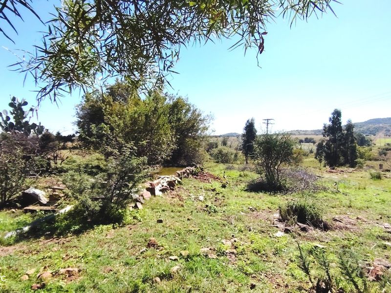 Versatile Farm with Multiple Dwellings and Outstanding Infrastructure - Photo 2
