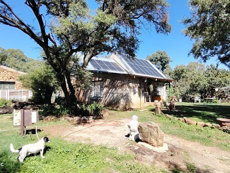 Versatile Farm with Multiple Dwellings and Outstanding Infrastructure - Photo 8