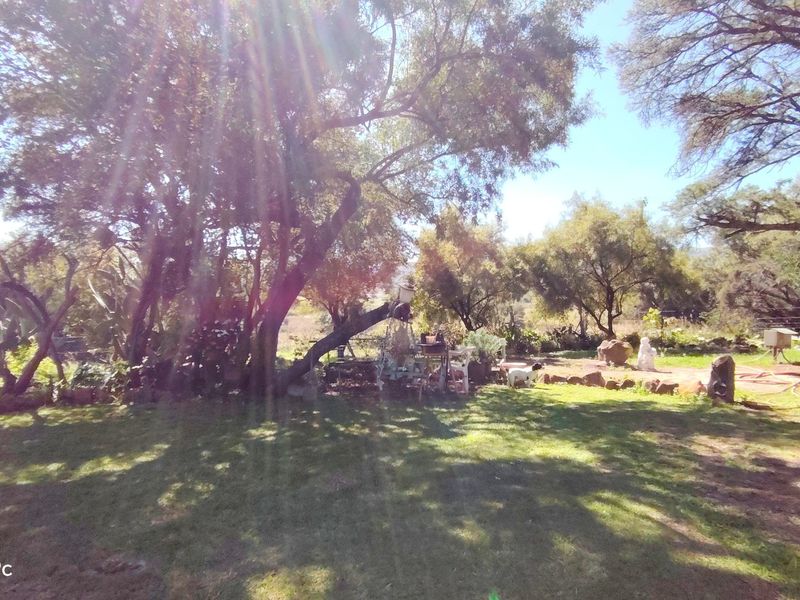 Versatile Farm with Multiple Dwellings and Outstanding Infrastructure - Photo 6