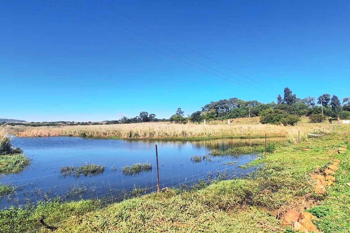 Versatile Farm with Multiple Dwellings and Outstanding Infrastructure - Photo 3