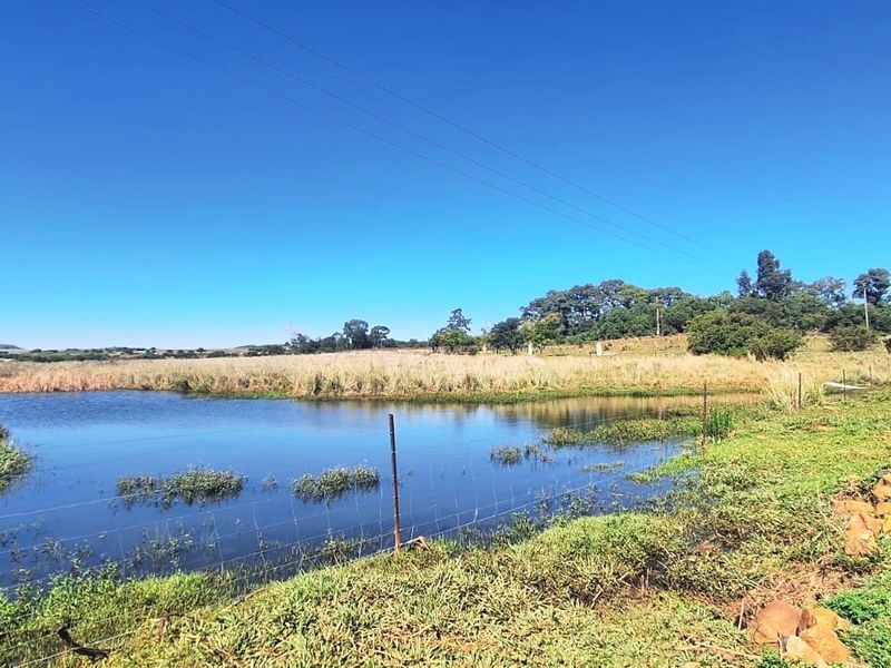 Versatile Farm with Multiple Dwellings and Outstanding Infrastructure - Photo 3