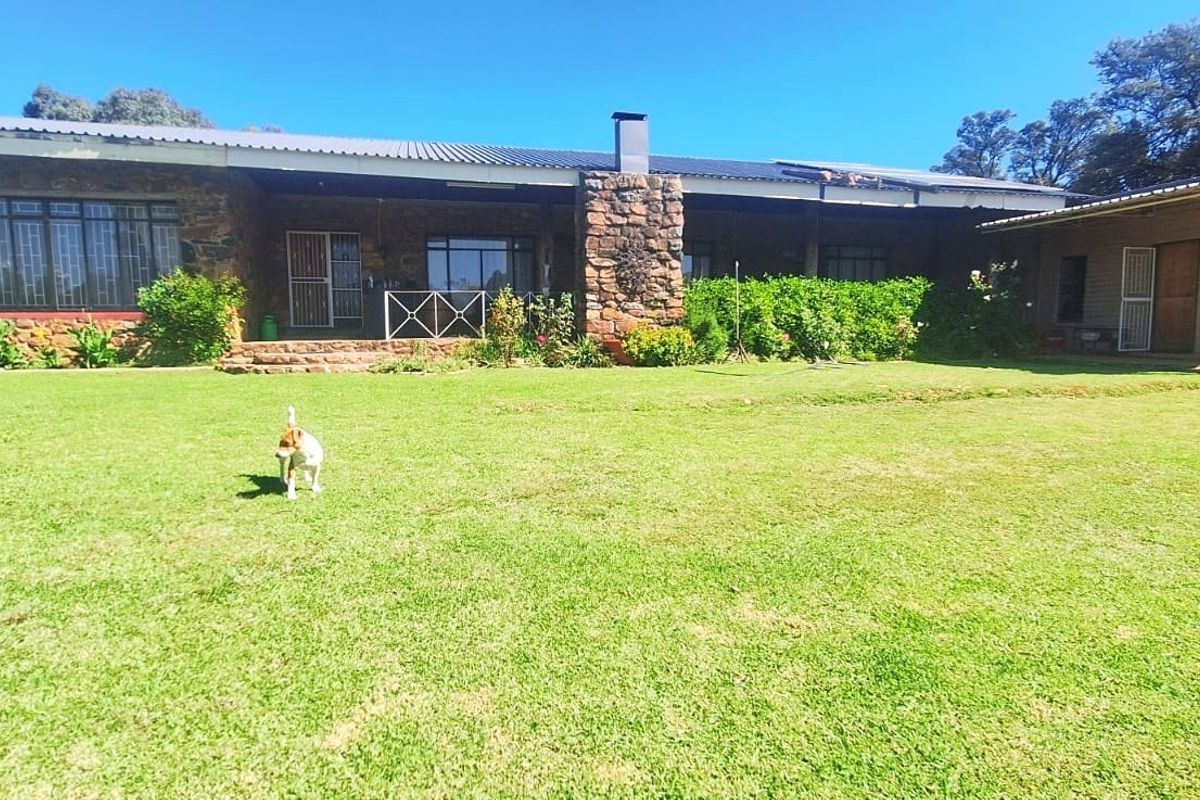 Rear view of a farm-style residence featuring a stone chimney, covered patio area, and expansive lawn.