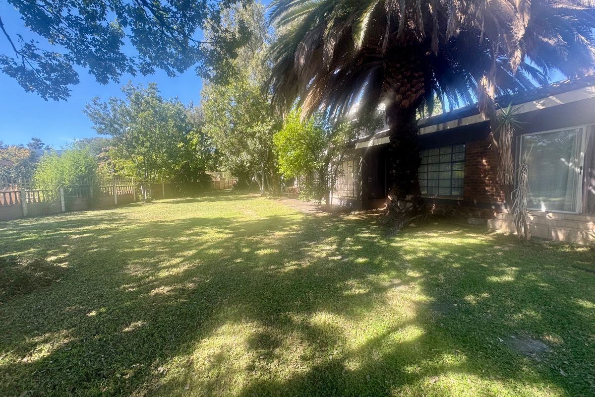 A spacious rear garden area featuring a large mature palm tree, established landscaping, and direct access to the building via sliding glass doors.