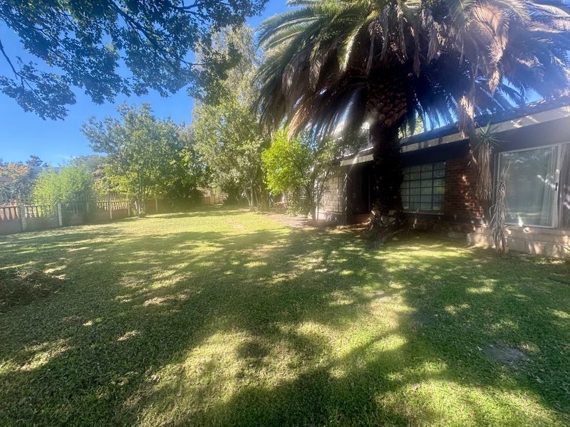A spacious rear garden area featuring a large mature palm tree, established landscaping, and direct access to the building via sliding glass doors.