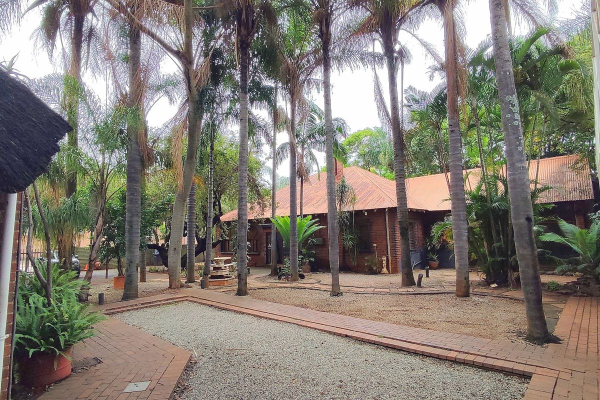 A landscaped rear courtyard featuring mature palm trees, brick pathways, and a combination of thatched and corrugated metal roofing on the main building structure.