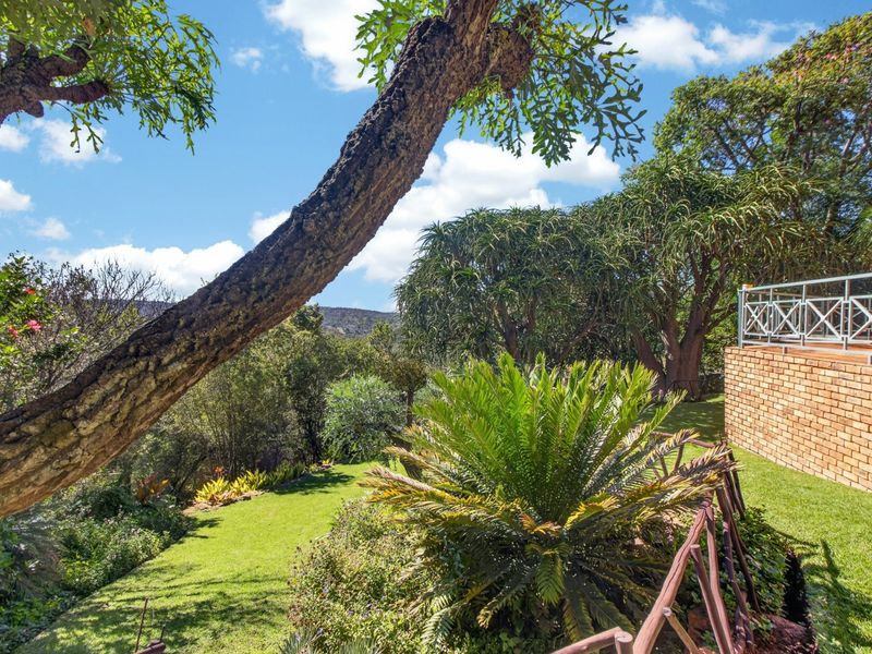 NORTHFACING WITH A VIEW - 5 Bedrooms 3 Baths PLUS Study - Photo 5