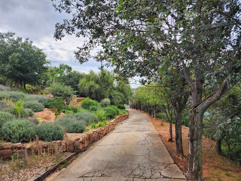 A concrete driveway leading through a landscaped garden with stone retaining walls and mature trees.