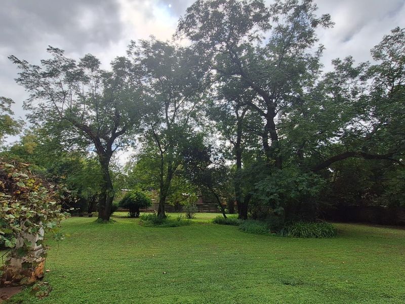 Rare Opportunity- Fixer-Upper with Development Potential - Photo 9