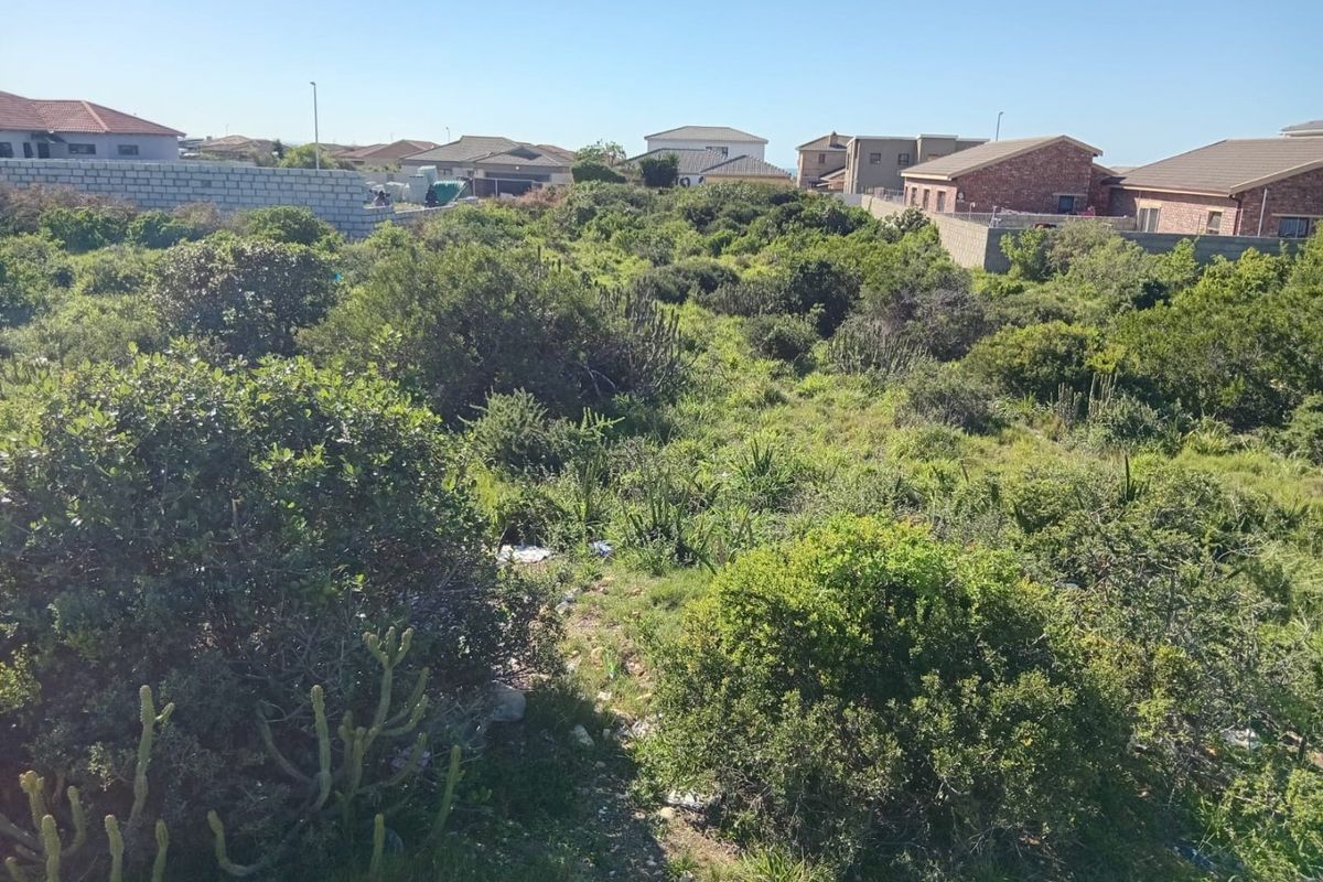 Bluewater Bay Vacant Land for Your Dream Home!  - Photo 5