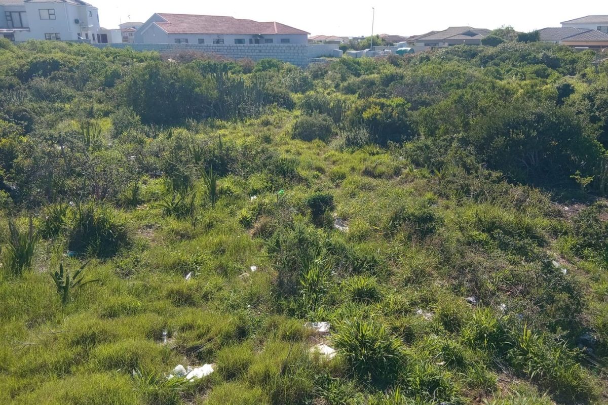 Bluewater Bay Vacant Land for Your Dream Home!  - Photo 4