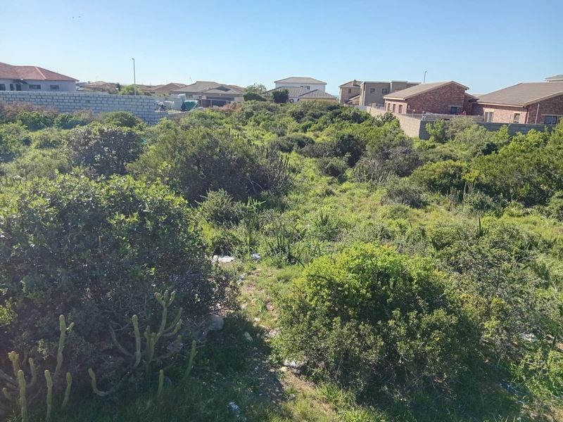 Bluewater Bay Vacant Land for Your Dream Home!  - Photo 5
