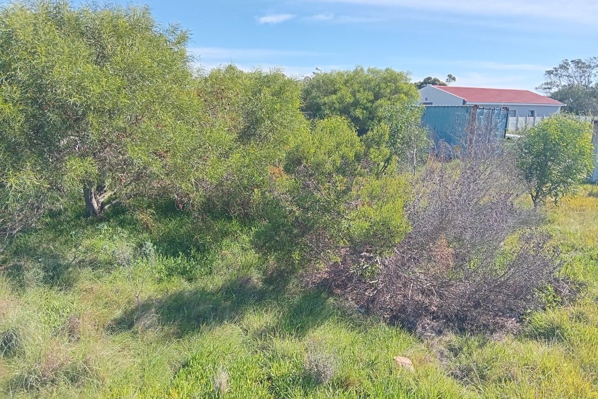Vacant Land in Fairview - Photo 3
