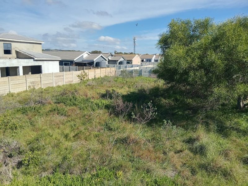 Vacant Land in Fairview - Photo 6