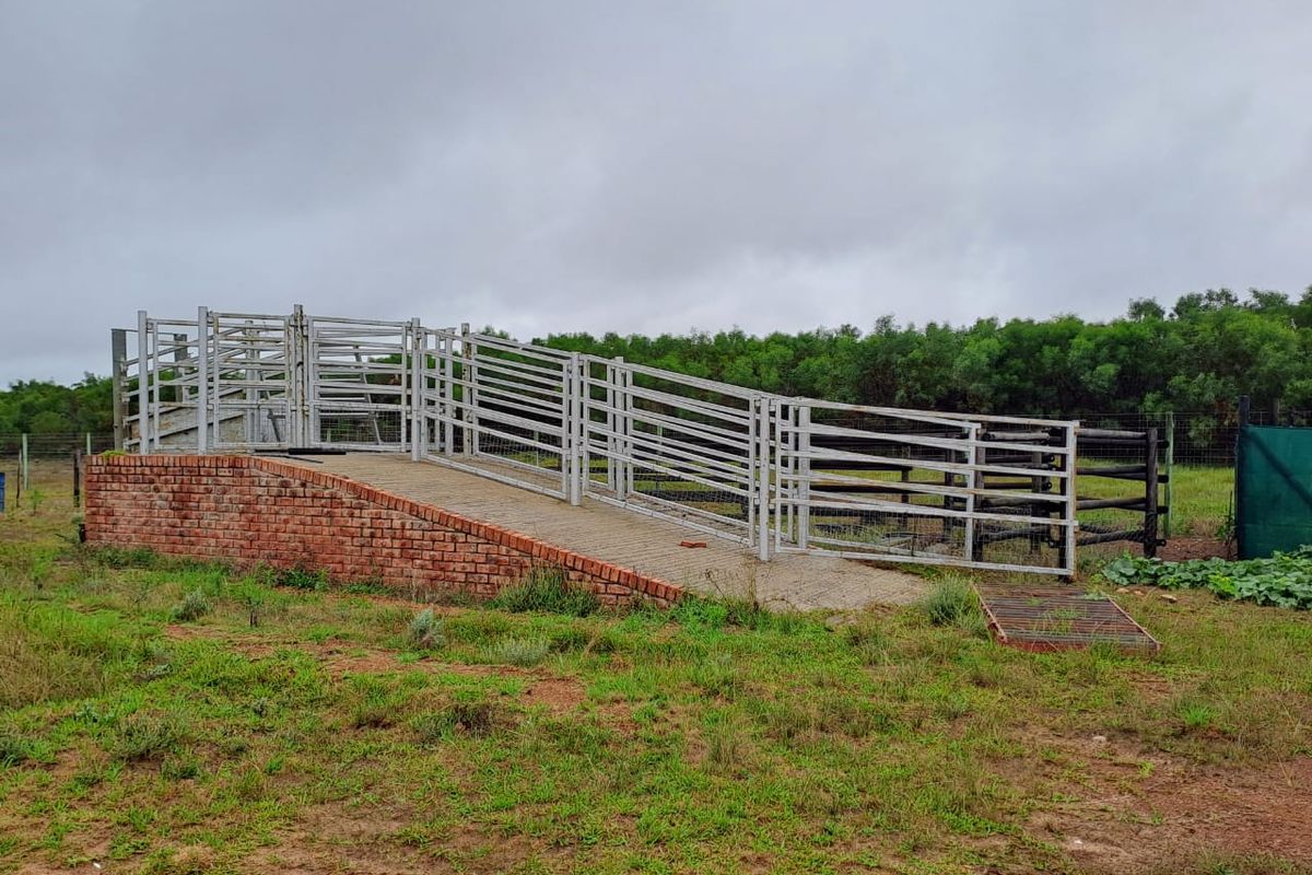 PRIME 23-HECTARE FARMLAND WITH EXCEPTIONAL EXTRAS - IDEAL FOR AGRICULTURE & LIFESTYLE LIVING - Photo 5