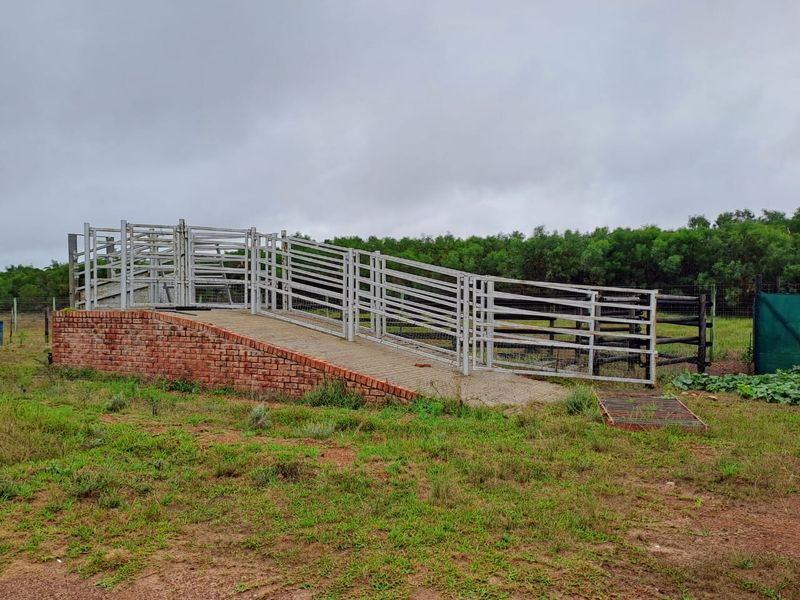 PRIME 23-HECTARE FARMLAND WITH EXCEPTIONAL EXTRAS - IDEAL FOR AGRICULTURE & LIFESTYLE LIVING - Photo 5