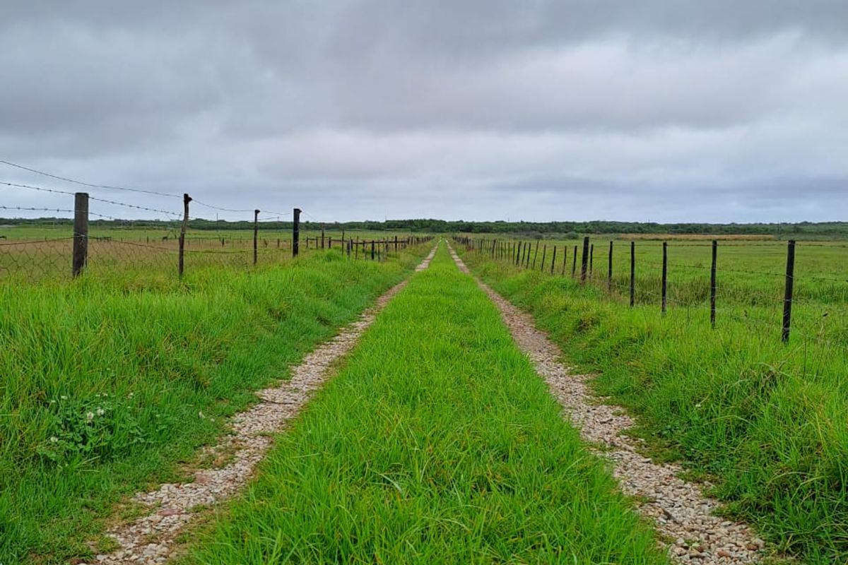PRIME 23-HECTARE FARMLAND WITH EXCEPTIONAL EXTRAS - IDEAL FOR AGRICULTURE & LIFESTYLE LIVING - Photo 4
