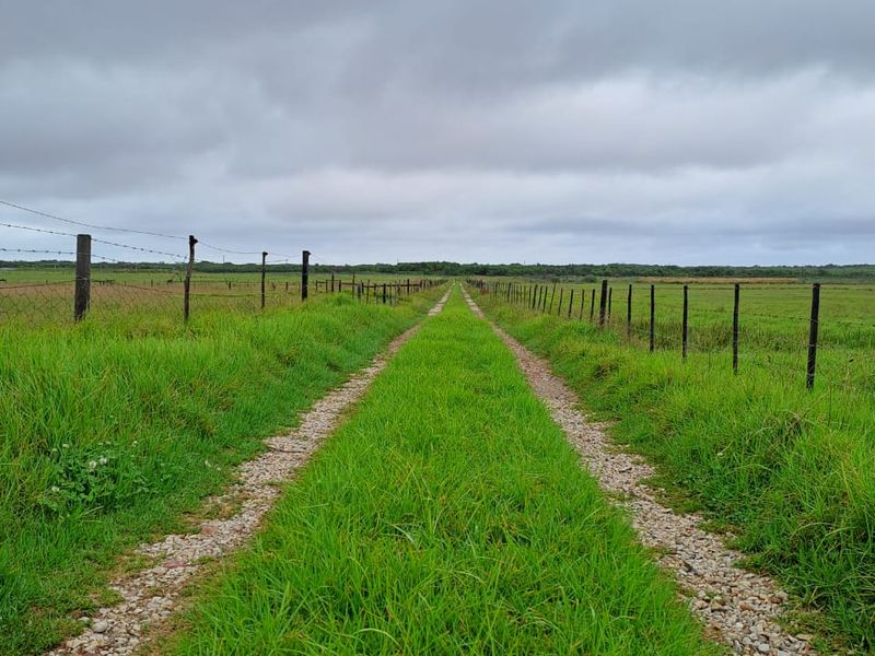 PRIME 23-HECTARE FARMLAND WITH EXCEPTIONAL EXTRAS - IDEAL FOR AGRICULTURE & LIFESTYLE LIVING - Photo 4