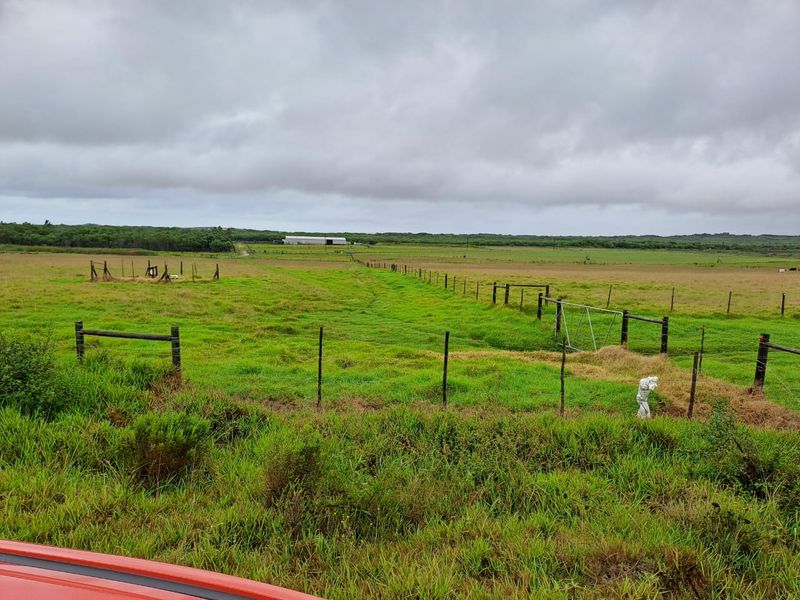 PRIME 23-HECTARE FARMLAND WITH EXCEPTIONAL EXTRAS - IDEAL FOR AGRICULTURE & LIFESTYLE LIVING - Photo 10