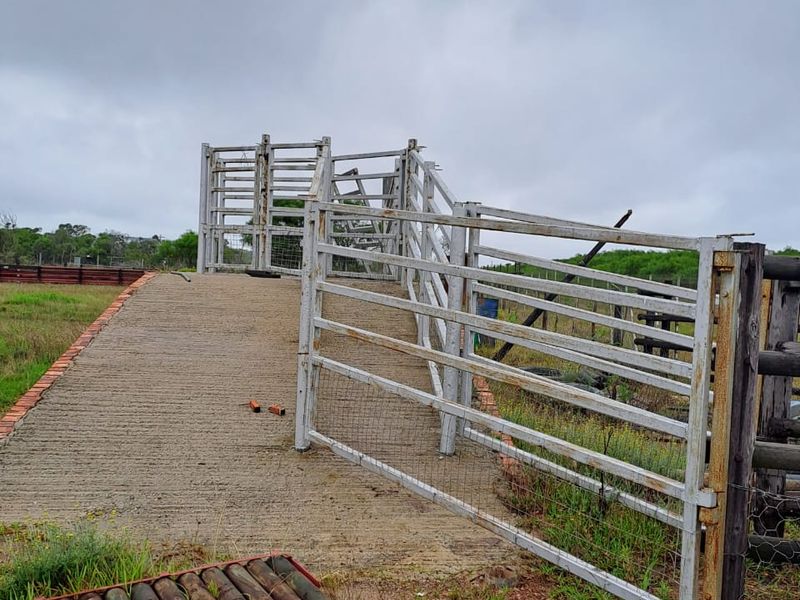 PRIME 23-HECTARE FARMLAND WITH EXCEPTIONAL EXTRAS - IDEAL FOR AGRICULTURE & LIFESTYLE LIVING - Photo 9