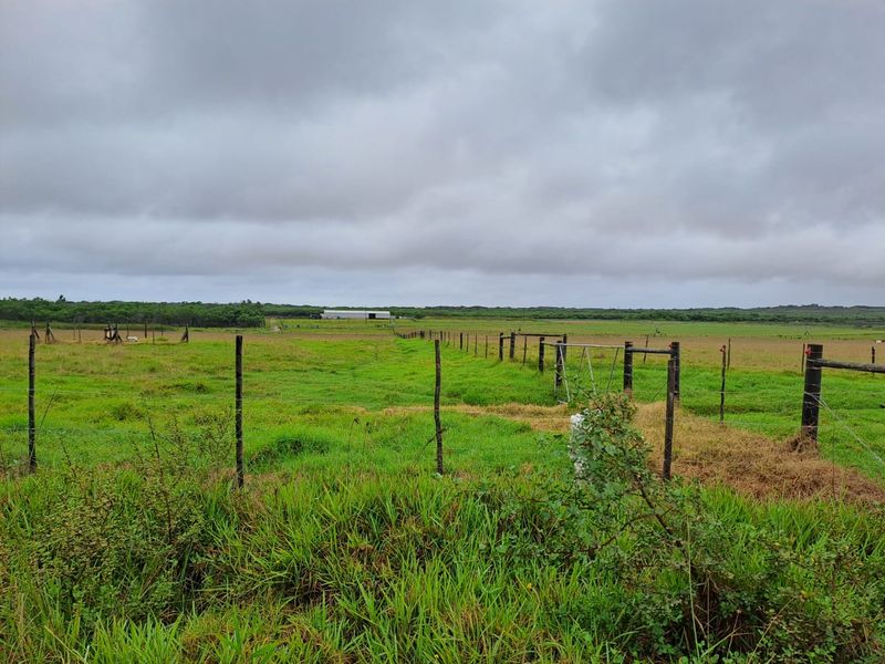 PRIME 23-HECTARE FARMLAND WITH EXCEPTIONAL EXTRAS - IDEAL FOR AGRICULTURE & LIFESTYLE LIVING - Photo 8