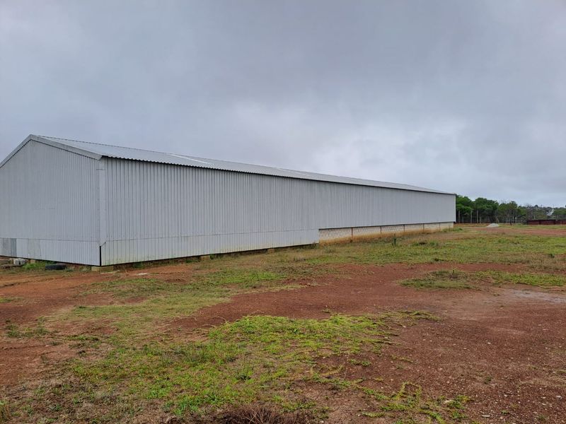 PRIME 23-HECTARE FARMLAND WITH EXCEPTIONAL EXTRAS - IDEAL FOR AGRICULTURE & LIFESTYLE LIVING - Photo 6