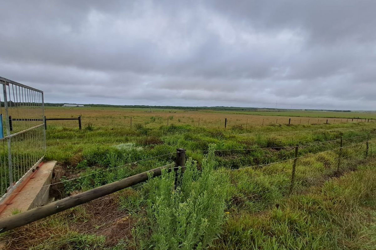 PRIME 23-HECTARE FARMLAND WITH EXCEPTIONAL EXTRAS - IDEAL FOR AGRICULTURE & LIFESTYLE LIVING - Photo 3