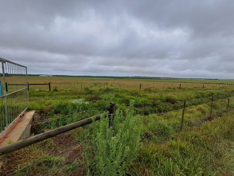 PRIME 23-HECTARE FARMLAND WITH EXCEPTIONAL EXTRAS - IDEAL FOR AGRICULTURE & LIFESTYLE LIVING - Photo 3