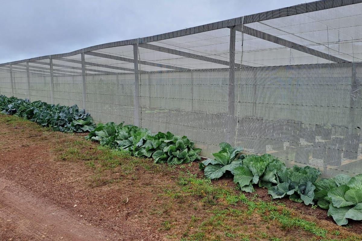 PRIME 23-HECTARE FARMLAND WITH EXCEPTIONAL EXTRAS - IDEAL FOR AGRICULTURE & LIFESTYLE LIVING - Photo 2