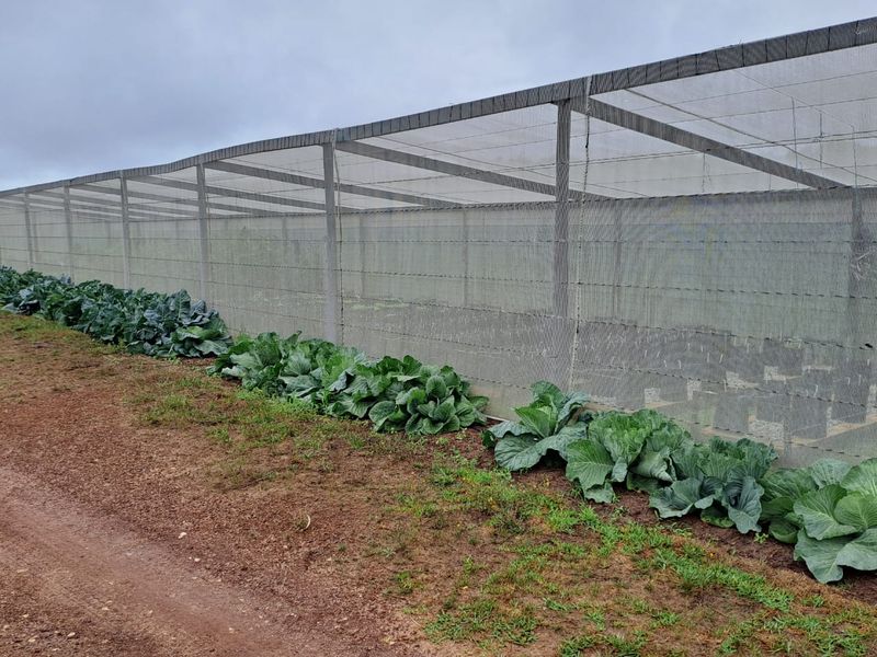 PRIME 23-HECTARE FARMLAND WITH EXCEPTIONAL EXTRAS - IDEAL FOR AGRICULTURE & LIFESTYLE LIVING - Photo 2