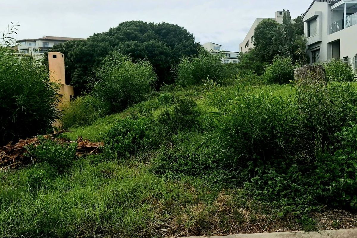 Sanctuary Beach Plettenberg Bay One of the Last Remaining Coastal Stands - Photo 4