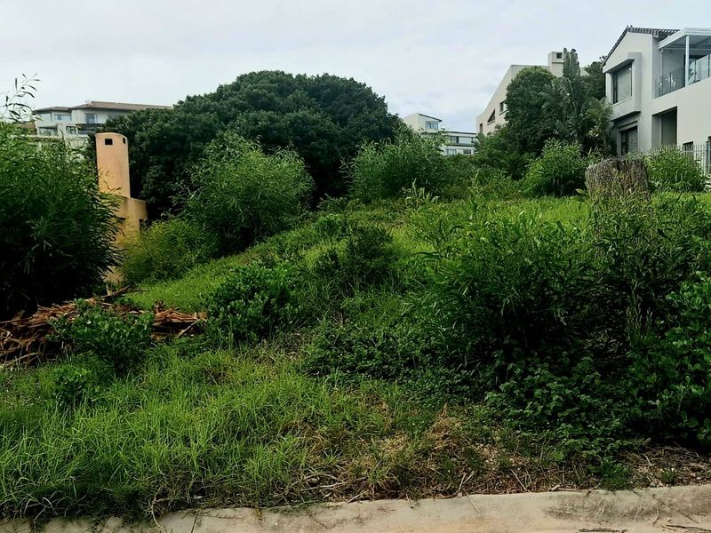 Sanctuary Beach Plettenberg Bay One of the Last Remaining Coastal Stands - Photo 4