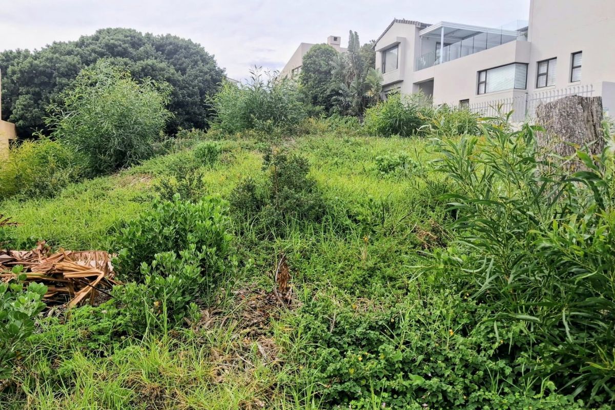 A view of a sloped, undeveloped residential plot covered in natural vegetation, adjacent to existing multi-story residential properties.