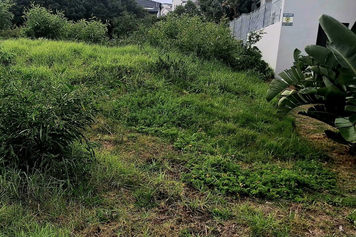 A view of a vacant residential plot featuring overgrown grass and vegetation, adjacent to an existing modern residential building with security fencing.