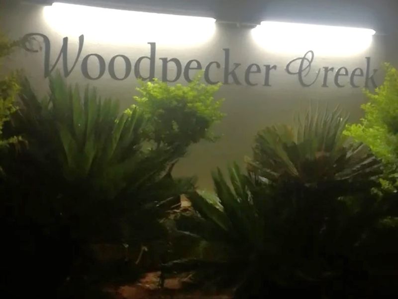 Brand-New Luxury Living in the Prestigious Woodpecker Estate – Secure Your Place Before It’s Gone - Photo 3