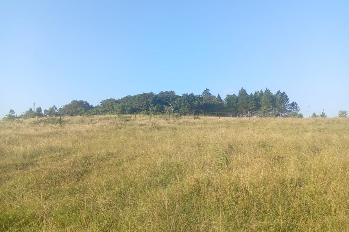 0 Bed Vacant Land in Ongoye, Empangeni Rural for Sale - Photo 2