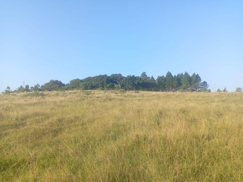 0 Bed Vacant Land in Ongoye, Empangeni Rural for Sale - Photo 2