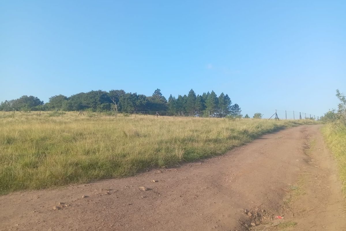 0 Bed Vacant Land in Ongoye, Empangeni Rural for Sale - Photo 5