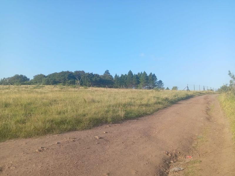 0 Bed Vacant Land in Ongoye, Empangeni Rural for Sale - Photo 5