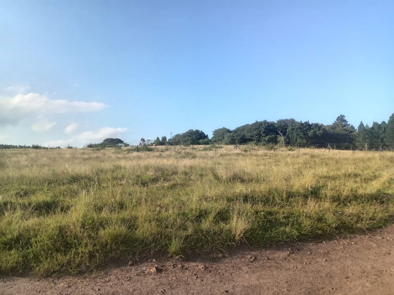 0 Bed Vacant Land in Ongoye, Empangeni Rural for Sale - Photo 9