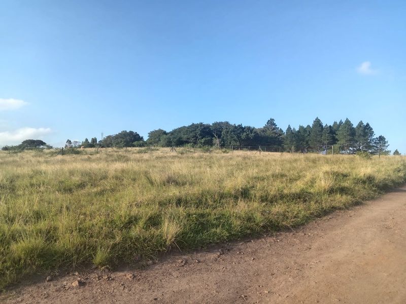0 Bed Vacant Land in Ongoye, Empangeni Rural for Sale - Photo 8