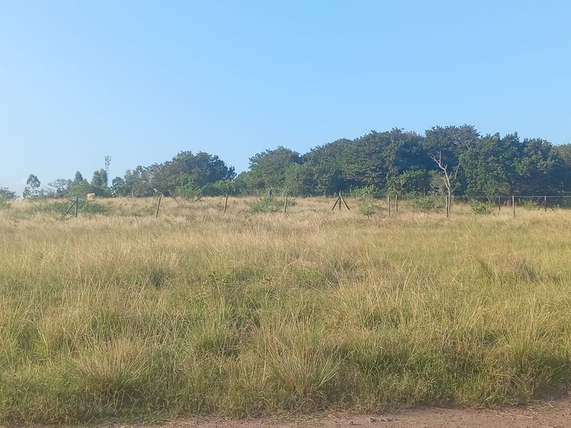 0 Bed Vacant Land in Ongoye, Empangeni Rural for Sale - Photo 7
