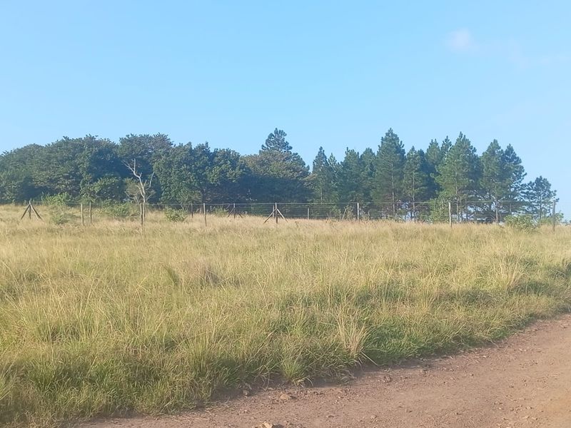 0 Bed Vacant Land in Ongoye, Empangeni Rural for Sale - Photo 6