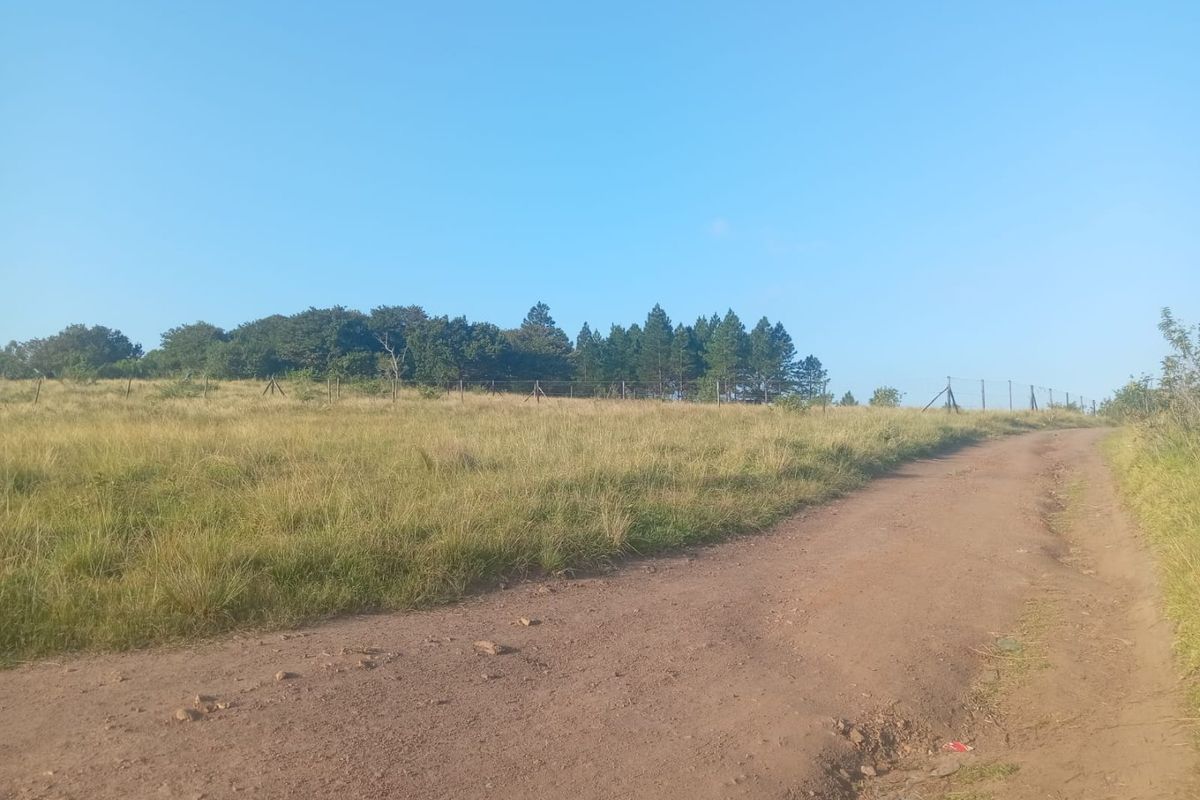 0 Bed Vacant Land in Ongoye, Empangeni Rural for Sale - Photo 3