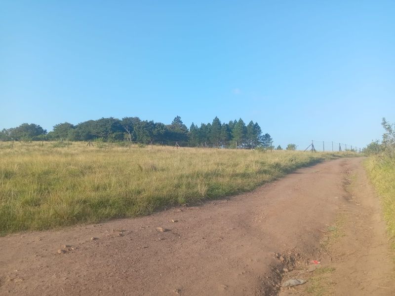 0 Bed Vacant Land in Ongoye, Empangeni Rural for Sale - Photo 3