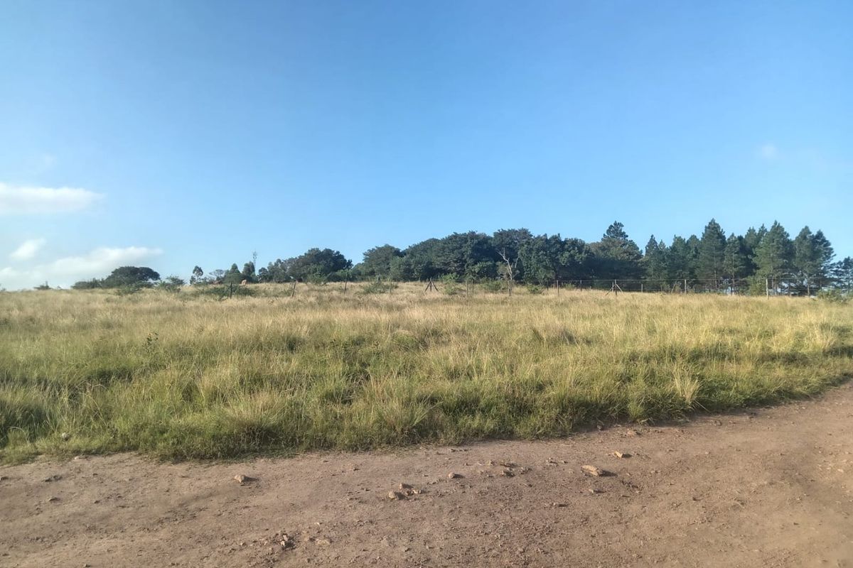 0 Bed Vacant Land in Ongoye, Empangeni Rural for Sale - Photo 4