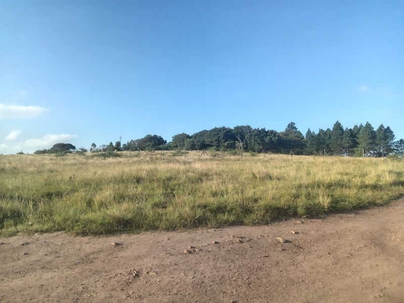 0 Bed Vacant Land in Ongoye, Empangeni Rural for Sale - Photo 4