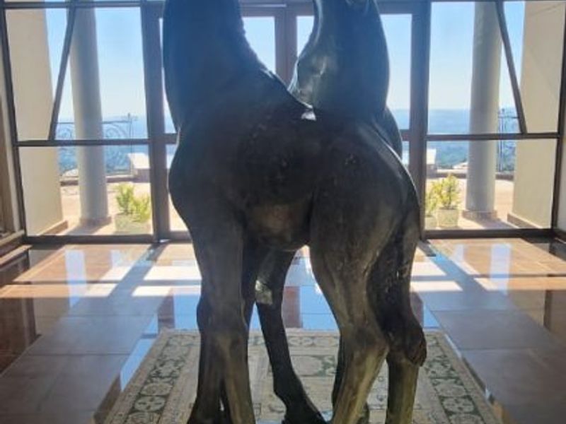 Hilltop Masterpiece with Panoramic Views & Development Potential | Poortview - Photo 8