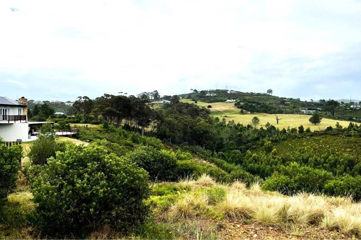 Prime Knysna Lot for Your Coastal Dream  - Photo 3