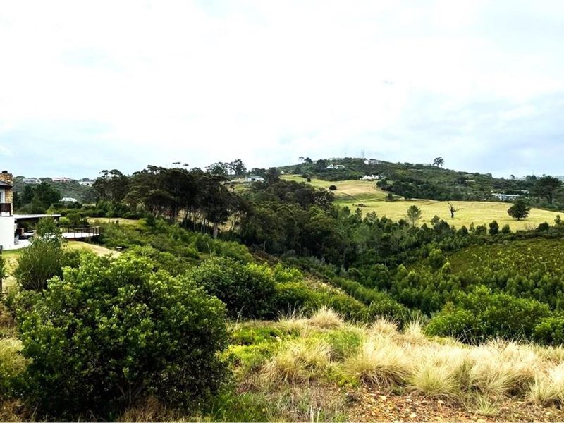 Prime Knysna Lot for Your Coastal Dream  - Photo 3