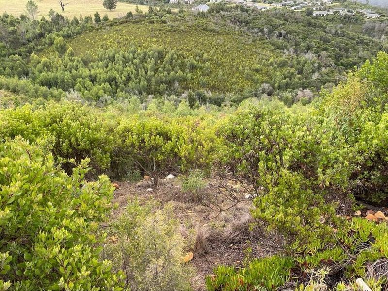 Prime Knysna Lot for Your Coastal Dream  - Photo 9